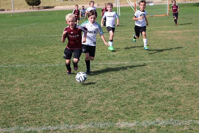 的核心原因 的核心原因