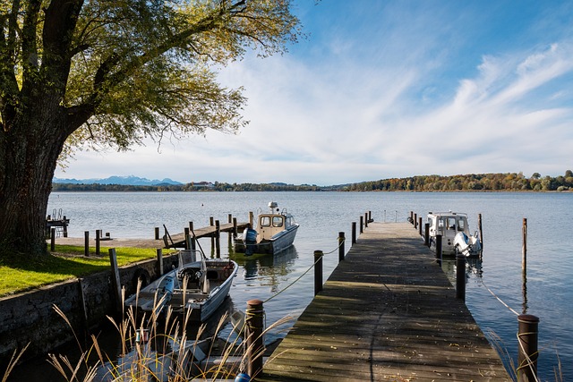 江苏男篮在 江苏男篮在