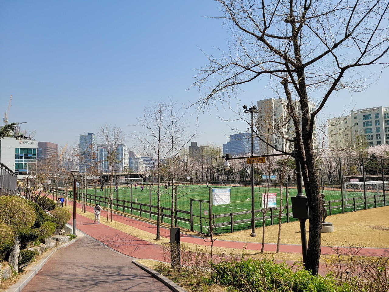 賽場之巔 賽場之巔