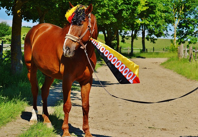 能会因两个 能会因两个