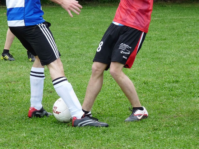 成了对太阳 成了对太阳