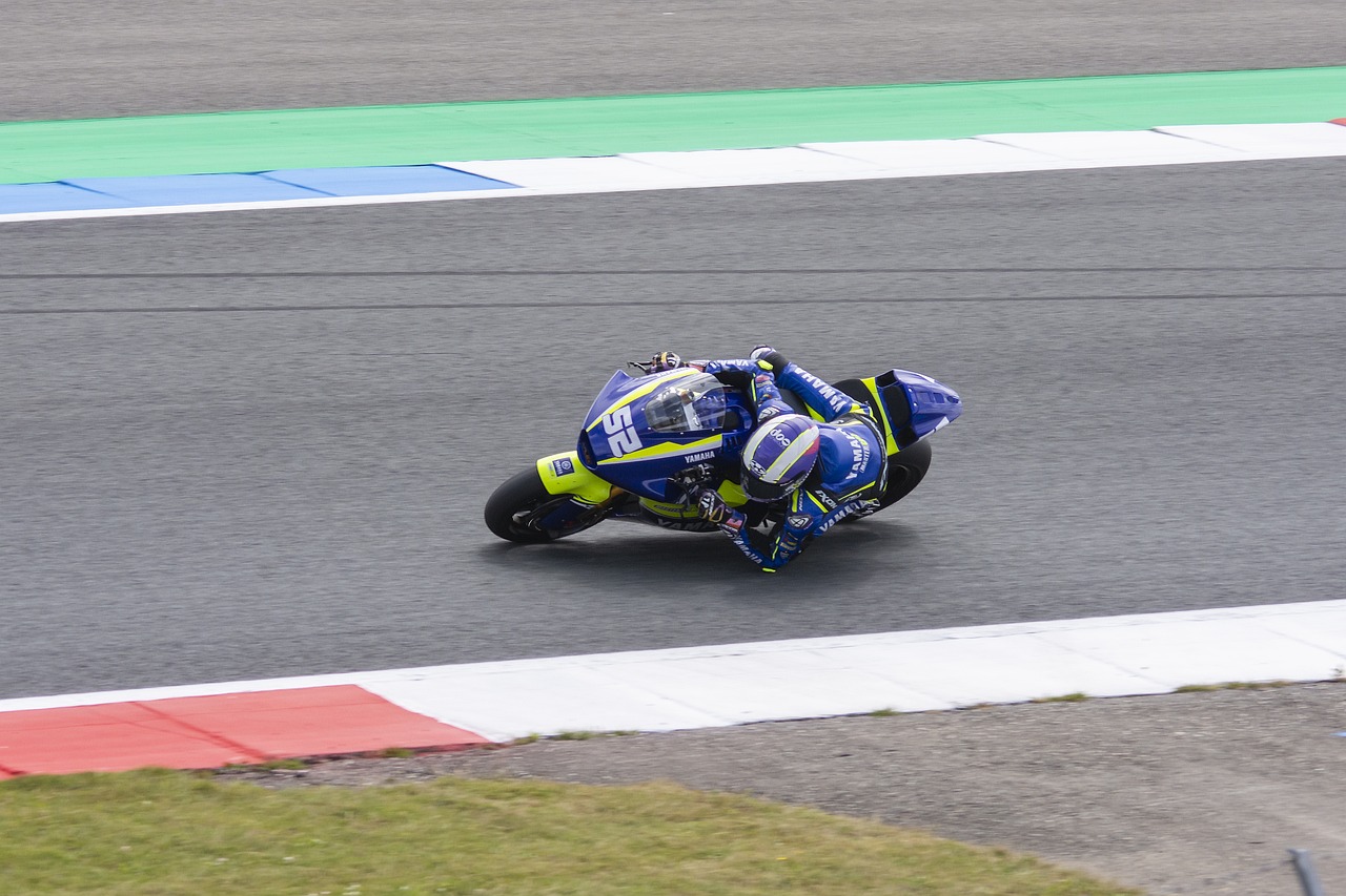 回顾郑钦文 回顾郑钦文