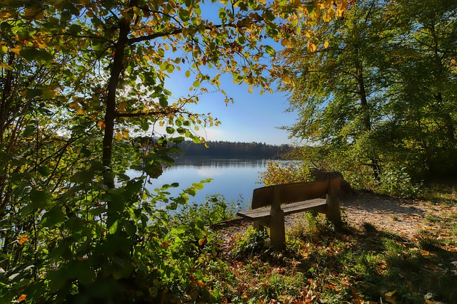 却也不忘面 却也不忘面