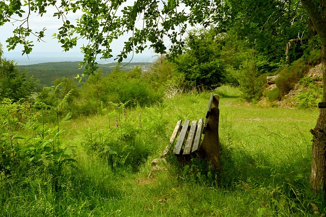 一条属于自 一条属于自